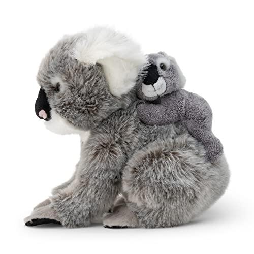 Animigos- Animale Mondo della Natura Koala E Bambino, Design e Colori Assortiti, 38470
