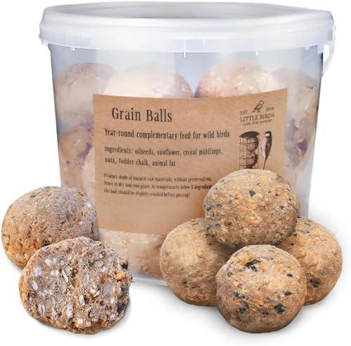 Care4Nature Palline di Grasso - Mangime Uccelli Selvatici - Cibo Ricco di Nutrienti per Tutto l'anno - Ideale per la Salute e l'ambiente Degli Uccelli - 30 Pezzi