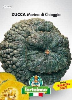 Sementi orticole di qualità l'ortolano in busta termosaldata (160 varietà) (ZUCCA MARINA DI CHIOGGIA)
