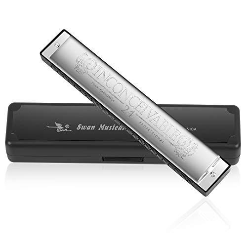 Armonica a Bocca Harmonica Tremolo 24 Fori Harpe professionnelle Chiave di C Bocca organica diatonica con custodia per blues folk pop jazz per bambini adulti Studente regalo per principianti