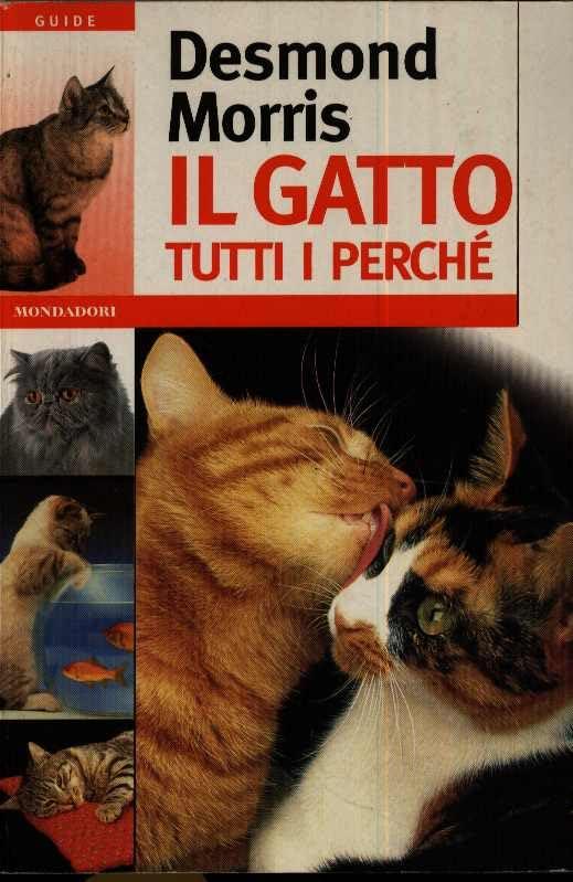 Il gatto: tutti i perché