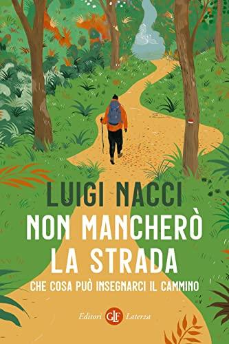 Non mancherò la strada: Che cosa può insegnarci il cammino
