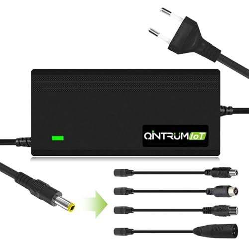 Qintrumiot 42V 2A Caricatore Monopattino Elettrico per xiaomi, Caricatore Hoverboard,Caricabatterie 36v Bici elettrica,Carica Batteria per Monopattino Elettrico Hoverboard per xiaomi M365 Ninebot