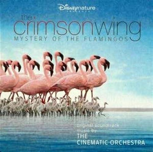 Crimson Wing: Mystery of the Flamingos
