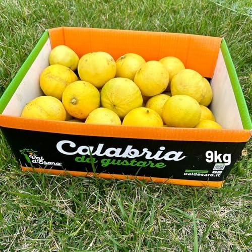 Bergamotto Fresco di Reggio Calabria - Agrume fresco 100% Naturale - Buccia edibile non trattata- Val D'Esaro (Box da 9 Kg)