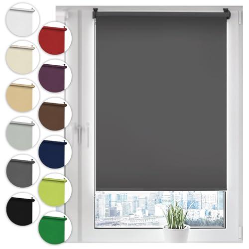 Sonello Tenda a Rullo Oscurante Klemmfix Senza Forare 55cm x 210cm Grigio, Tenda avvolgibile Oscurante con Morsetti e con Catenella per finestre e Porte, Blackout, Opaco, Protezione Solare
