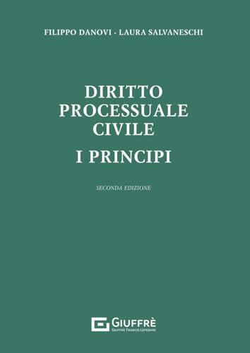 Diritto processuale civile - i principi