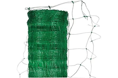 Vigor 86020 Rete Plastica P/Rampicanti Rotolo, 50 mt, 200 cm