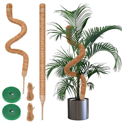 Yeecka Palo di Muschio Pieghevole, 2 Pezzi 60cm Palo Cocco Piante, Bastone per Piante Rampicanti, Tutore Muschiato per Monstera per Piante da Interno e Giardino con Struttura Resistente