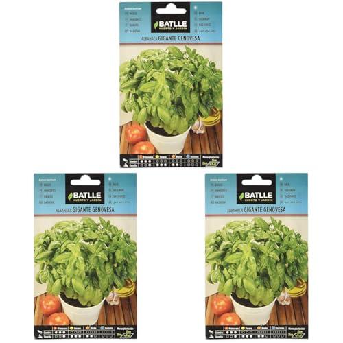 Battle - Semi Aromatici Basilico Gigante Genovesa (Semi - 20-40Cm)