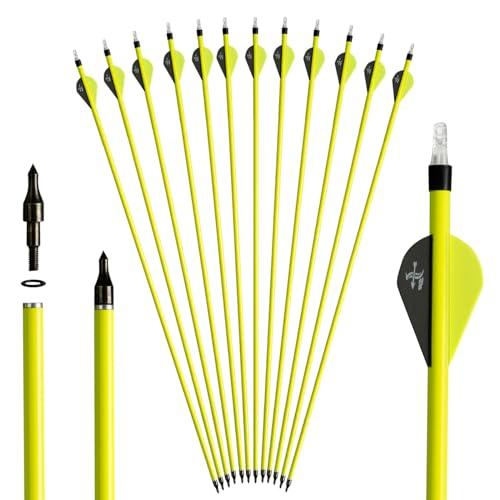 S F 30 Pollici Frecce in Carbonio per Esercitazione da Caccia Spine 500 per Arco Composto e ricurvo (Confezione da 12)