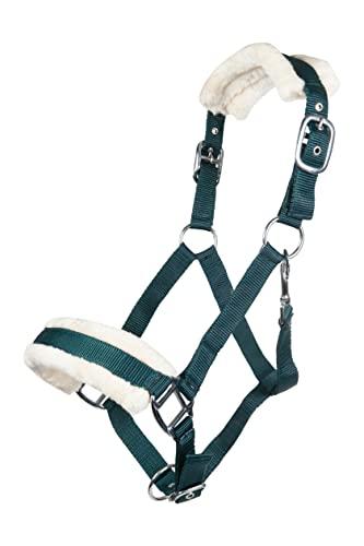 HKM 11796 Cavezza Bischofshofen, imbottitura in peluche, cavezza cavallo, verde scuro, pony