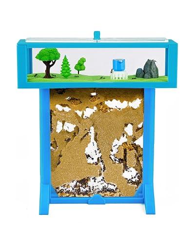 AntHouse - Fattoria di formiche di sabbia naturale | Kit Tee 3D 15x15x1.5cm Blu | Comprese le formiche