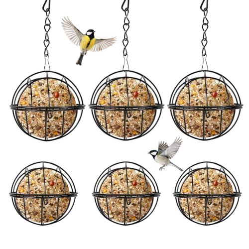 6 Pezzi Mangiatoia per Uccelli, Mangiatoia per Palle, Strumento per L'alimentazione degli Uccelli, Struttura in Ferro, Adatta per Essere Appesa, Resistente, Ideale per Giardini, Balconi e Ringhiere