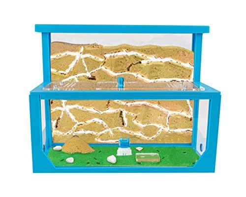 AntHouse - Formicaio Naturale di Sabbia 3D Azzurro | Kit L (Sandwich + Cassa di Foraggiamento) | Formiche Incluse con Regina