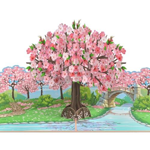 MOKIO® Biglietto Fiore Pop-Up – Ciliegio giapponese in fiore – Biglietto regalo 3D per un compleanno, Biglietto di auguri con fiori di Sakura