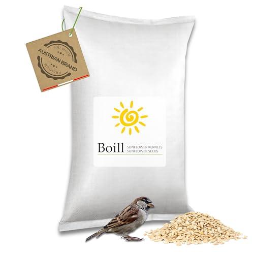 Boill, semi di girasole pelati, 25 kg. Cibo per uccelli direttamente dal produttore, cibo per uccelli selvatici da giardino nuovo raccolto 2024 cibo tutto l'anno