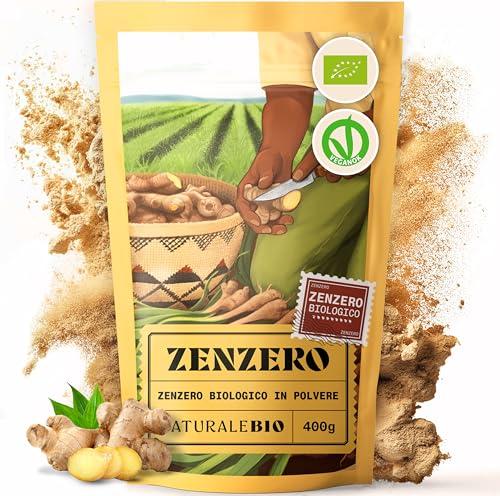 NaturaleBio Zenzero in Polvere Bio 100% Puro 400g | Radice di Zenzero Macinata | Non OGM, Senza Additivi | Prodotto Sostenibile in Perù | Perfetto per Cucina, Tè, Smoothies, Rimedi Naturali