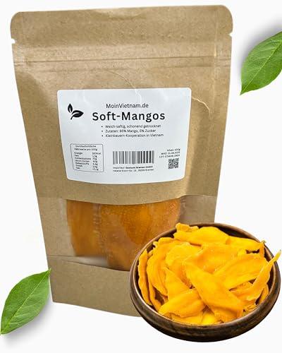 MOIN VIETNAM Soft Mango – Fette di mango morbide essiccate dal Vietnam – Gusto fruttato ed esotico – Ricco di vitamine – Vegano – Sacchetto da 100 g Dried Mango