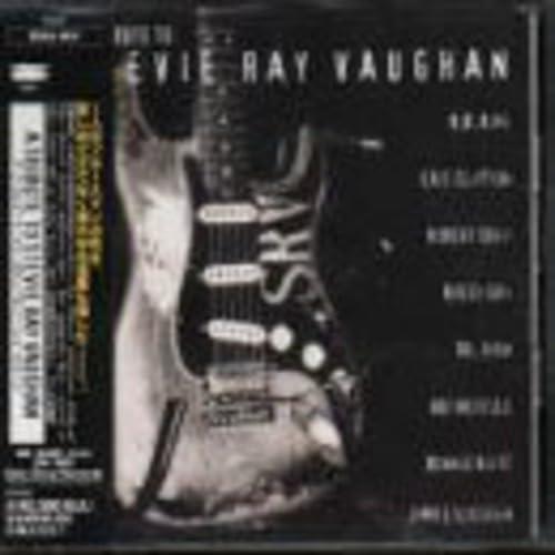 Tribute To Stevie Ray Vaughan