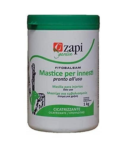 MASTICE INNESTI gr.1000 ZAPI [ZAPI ]