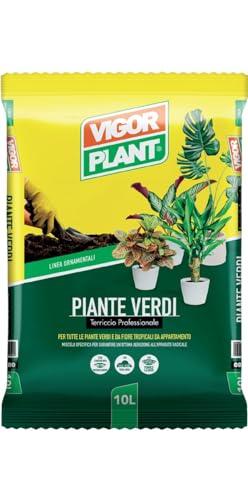 VIGORPLANT Terriccio Piante Verdi 10 Litri