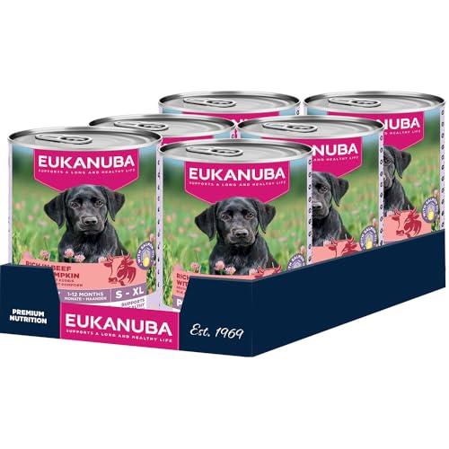 EUKANUBA Cibo umido cucciolo con manzo e zucca, 6 x 400 g