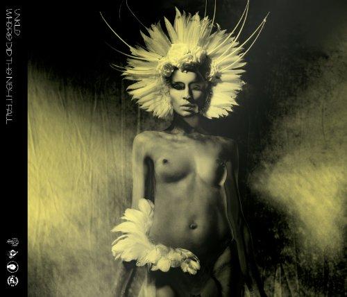 Where Did The Night Fall - Another Night Out