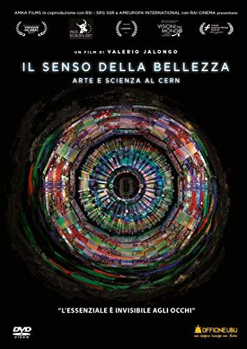 Il Senso Della Bellezza - Arte E Scienza Al Cern ( DVD)