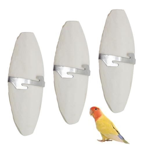 PHCOZY 3 PCS Osso di Seppia,Osso di Seppia per Pappagalli,Osso di Seppia per Tartarughe,Osso di Seppia per Uccelli,Osso di Seppia Naturale,con 3 Supporti in Metallo 11-13cm