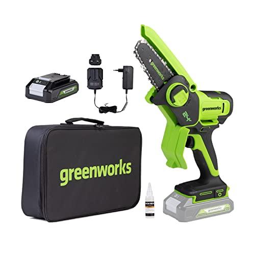 Greenworks 24V 10cm Mini Motosega a Batteria per Potatura, Auto-Lubrificante Motosega Elettrica, Contiene una Batteria di 2Ah e un Caricatore