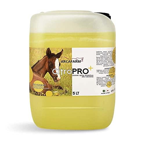 Tanica 5 lt Repellente Naturale alla Citronella per Cavalli Citropro, anti Insetti Protezione Lunga Durata, Lozione Insetti Molesti, 100% Made in Italy