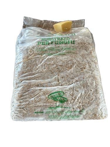 BERARDI | Kit coltivazione funghi cardoncelli, Made in Puglia, Varietà Pleurotus Eryngii, Balletta da 3 kg