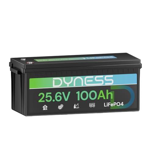 Dyness Batteria al Litio LiFePO4 24V 100Ah con 100A BMS, Batteria Accumulo Fotovoltaico 20.48 kWh(Max.8 Batterie), Motore Elettrico per Pescherecci Elettrici, Camper, Pannelli Solari
