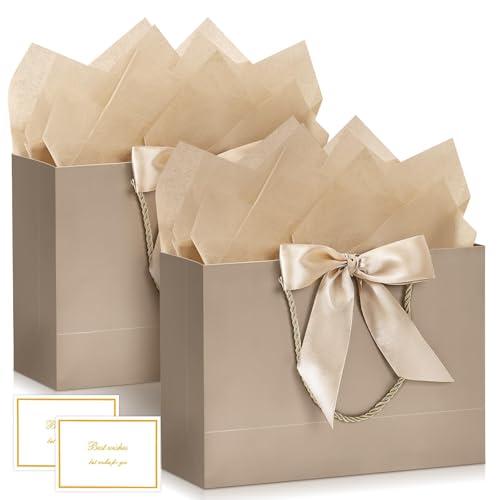 BBILKE Sacchetti Regalo Medie - 2 Pcs Sacchettini Borsa Regali Compleanno in Carta con 2 Carte, Buste Regalo Grandi Elegante con Manici per Donne Ragazze San Valentino Festa di Nozze Natale(Champagne)