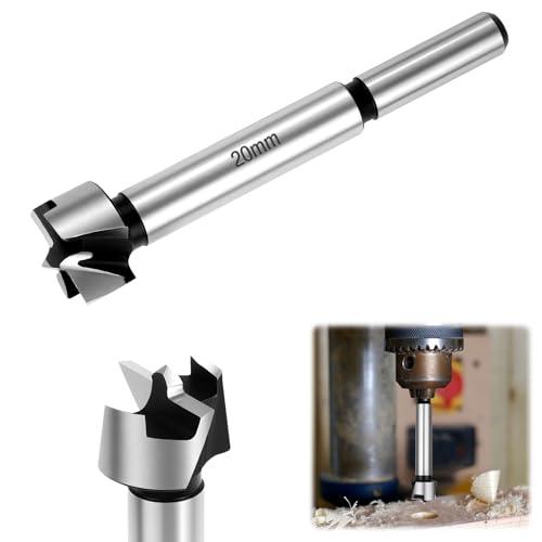 Flintronic Punta Forstner, Ø 20 mm Punta professionale, trapano a ali piatte, punta per legno per Compensato, Foratura in legno, Plastica