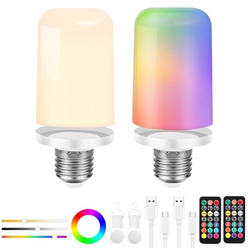 Birnetek Lampadina LED E27 Ricaricabile USB-C, 6W, con Telecomando e Touch Control, Dimmerabile con Timer, Luce di Emergenza con Gancio, 2 Pezzi