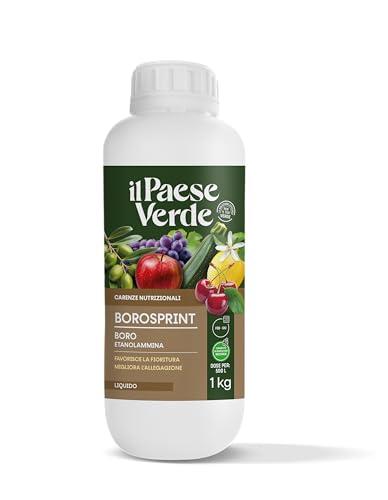 Il Paese Verde – Concime Liquido Borosprint – Fertilizzante a Base di Etanolammina per Stimolare la Fecondazione e Migliorare l'Allegagione – Consentito in Agricoltura Biologica – 1L