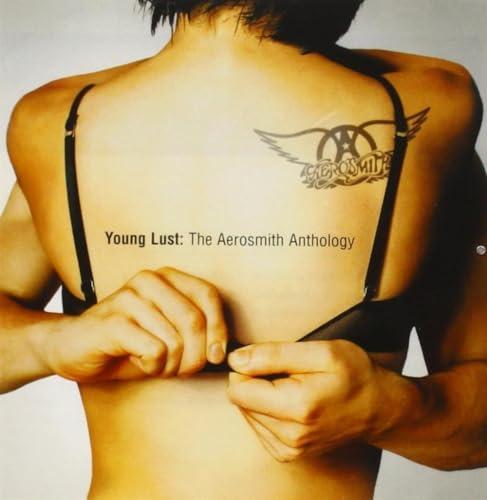 Young Lust-Aerosmith Anthology (2 CD)
