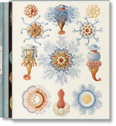 The Art and Science of Ernst Haeckel