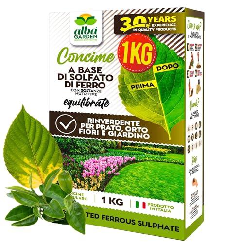 Albagarden Solfato Di Ferro Granulare- Concime E Fertilizzante Naturale, Rinverdente Fogliare E Acidificante Della Terra - Per Prato, Piante Verdi, Alberi, Orto, Piante In Vaso x 1 kg
