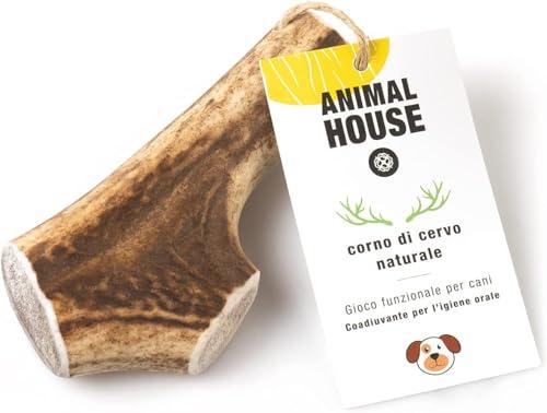 Animal House - Corna di Cervo per Cani Intere - Masticativo Naturale al 100% - Rafforza Igiene Orale - Resistenti e Duraturi - Disponibili in Tutte Le Taglie (L)
