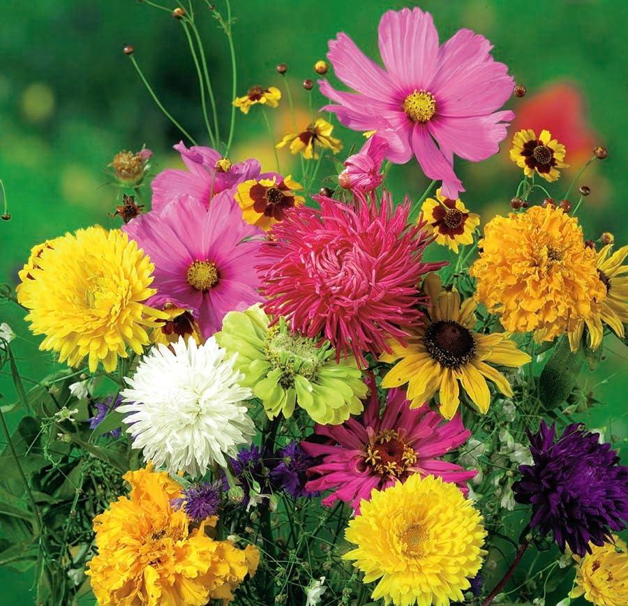 Semi fiori FIORI ANNUALI IN MISCUGLIO In Busta Ermetica MADE IN ITALY Qualità superiore con 95% di germogliazione con istruzioni