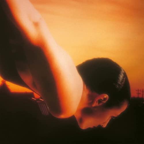 On The Sunday Of Life (2 LP)