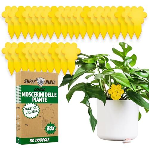 Trappola per Moscerini - 30 trappole - Altamente Efficaci ed Ecologiche per Moscerini Piante - Anti Moscerini - Facile da Usare - Fino a 3 Mesi - Super Ninja