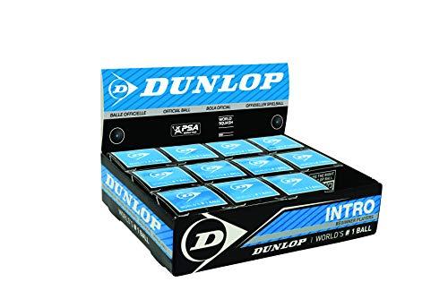 Dunlop Intro Confezione 12 Palline da Squash