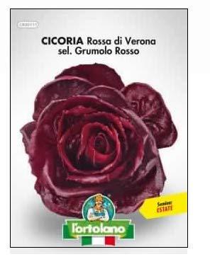 L'ORTOLANO Sementi Orticole Di Qualità In Busta Termosaldata (160 Varietà) (Cicoria Rossa Di Verona Sel. Grumolo Rosso)
