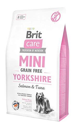 Brit Care Mini Yorkshire Grain Free al Gusto di Salmone e Tonno Ipoallergenico - 2 kg
