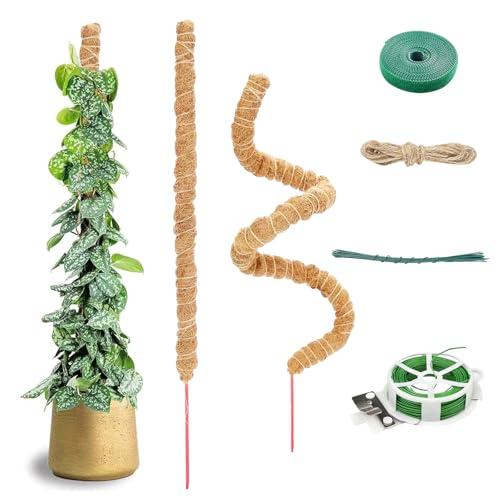 Chiluxendo 2 Pezzi 60cm Sostegno per Piante Rampicanti Pieghevole, Palo di Sfagno Pianta, Supporto Monstera, Moss Pole, Tutore Muschiato per Monstera, Palo di Muschio per Monstura, Fibra di Cocco Palo
