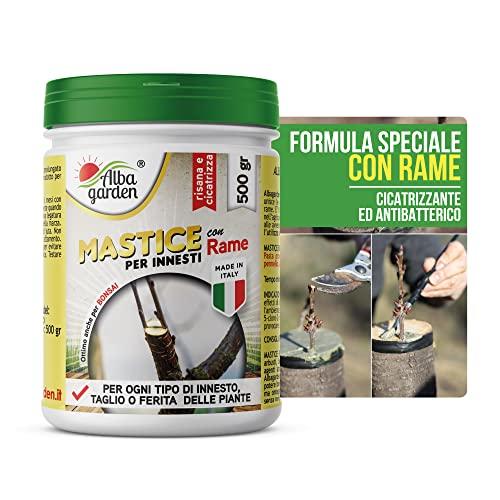 Albagarden - Mastice Per Innesti E Potature ++ Con Rame ++ Antibatterico Pasta Cicatrizzante Curativa Per Ferite Piante Alberi Arbusti Kit Bonsai X 500 Gr